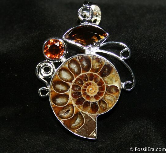 Ammonite Pendant #679